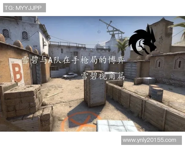 CSGO战术解析：深入探讨V5战队的节奏体系与战术运用