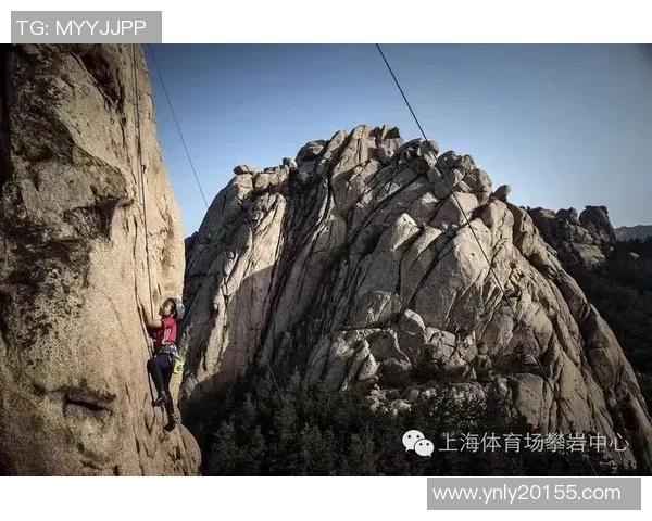 南京攀岩队配合分析与其他队伍表现的深度对比研究