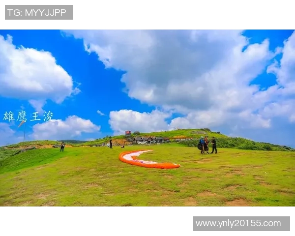 杭州极限运动队个人能力排名创新高引发热议与关注