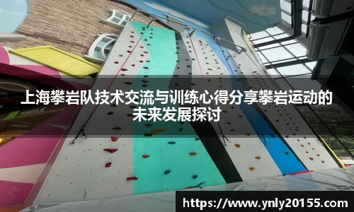 上海攀岩队技术交流与训练心得分享攀岩运动的未来发展探讨