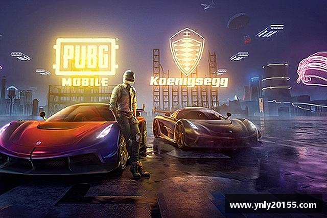 了解XK星空体育